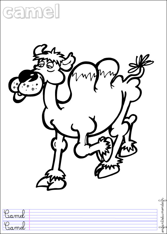 coloriage chameau 1
